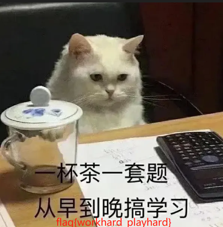 image-20260820191752439